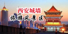 我要操美女www.中国陕西-西安城墙旅游风景区